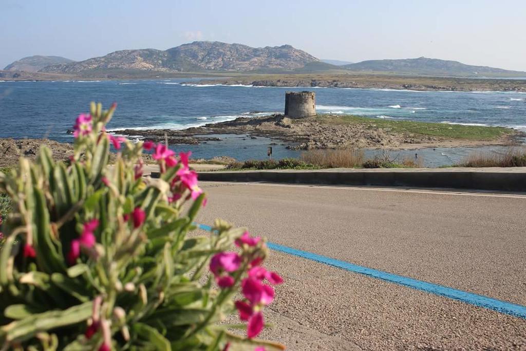 Lina Hotel Stintino Εξωτερικό φωτογραφία